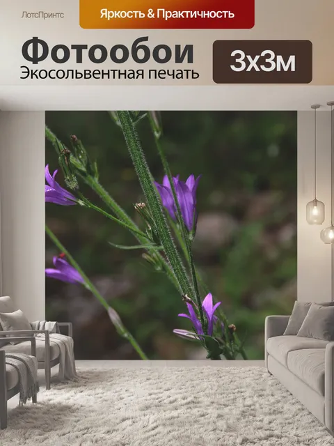 Фотообои Маленькая фиолетовая лилия полевого цвет