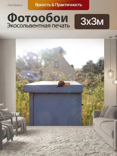 Фотообои Оболочка