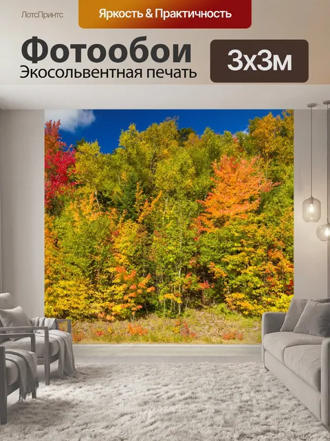 Фотообои Деревья осенью