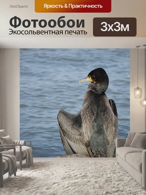 Фотообои Море