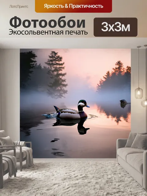 Фотообои утка, плавающая среди облаков тумана, создающего эффект мистики в лесном озере