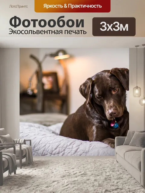 Фотообои Собака