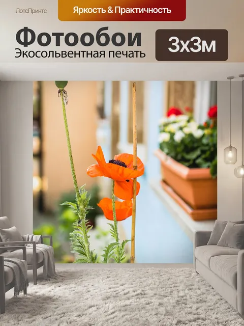 Фотообои Мак