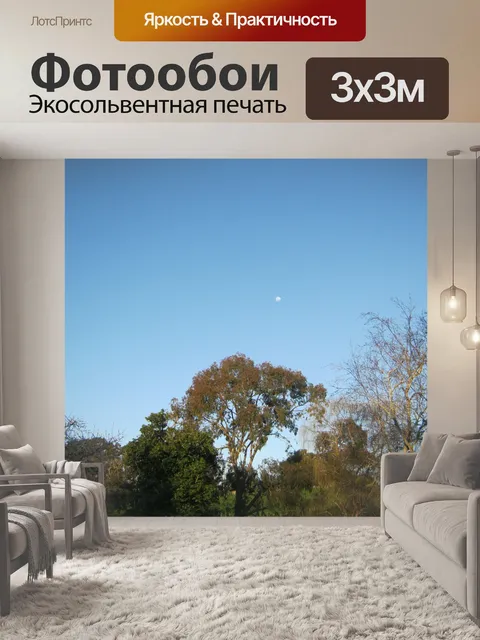 Фотообои Деревья с синим фоне неба