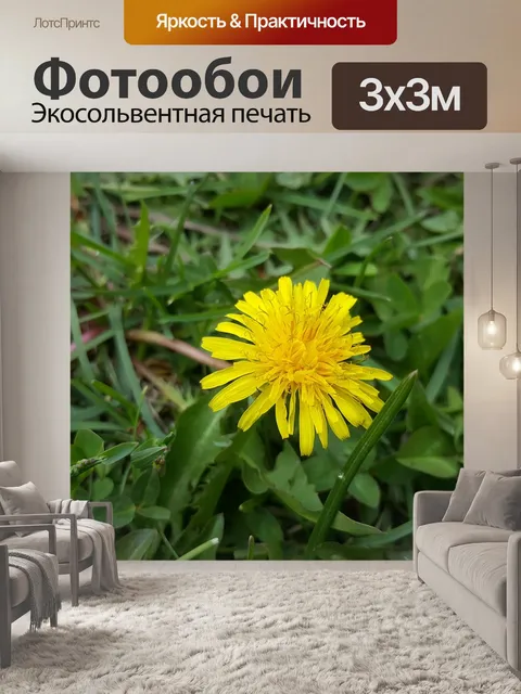 Фотообои Зеленый