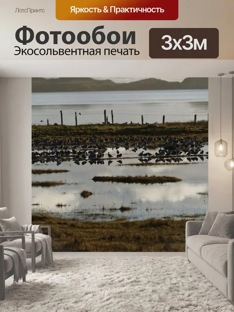 Фотообои Болотных птиц