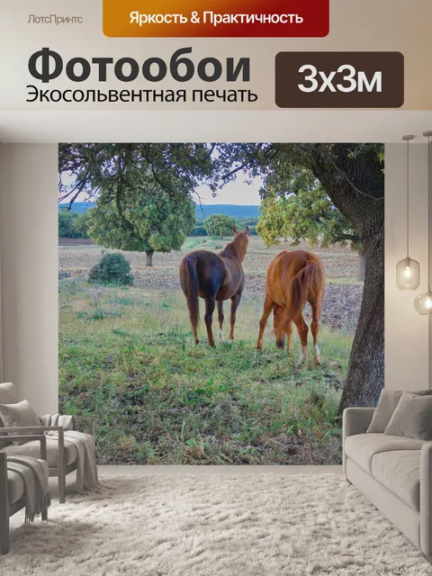 Фотообои Лошади
