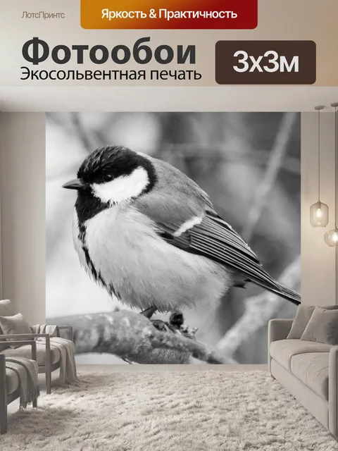 Фотообои Большая синица