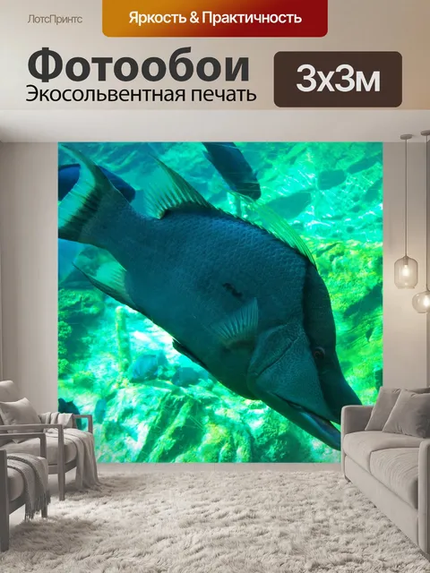 Фотообои Рыбы