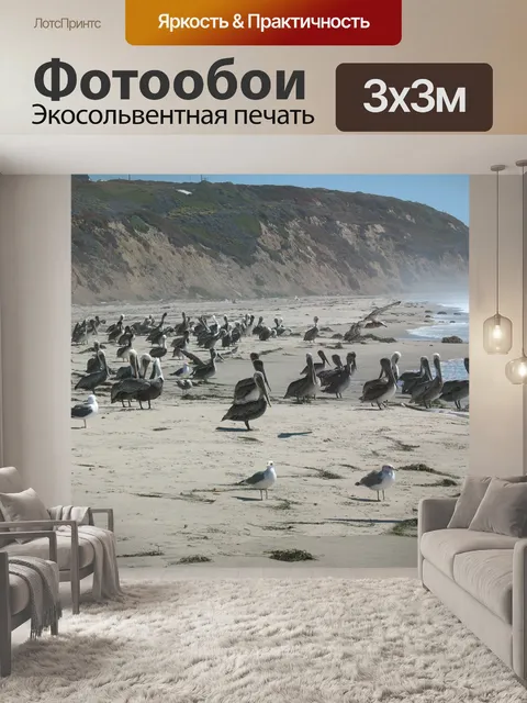 Фотообои Пеликаны