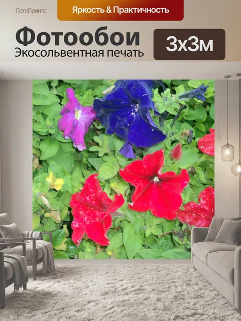 Фотообои цветы