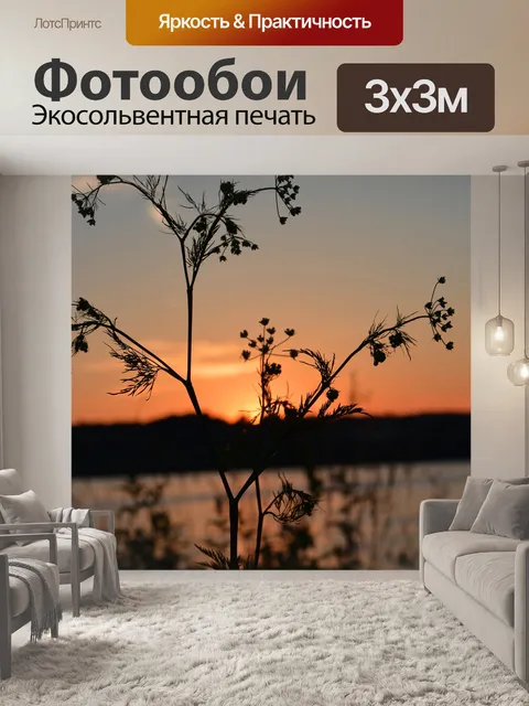 Фотообои Травинки на фоне заката