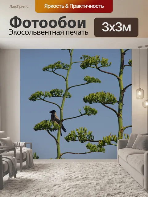 Фотообои Крупный план Агава Американа