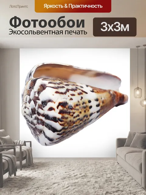 Фотообои Морская ракушка