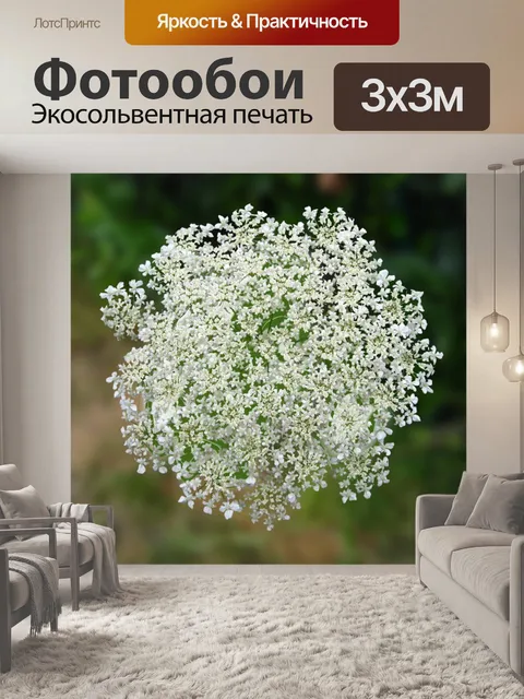 Фотообои Луговой кервель