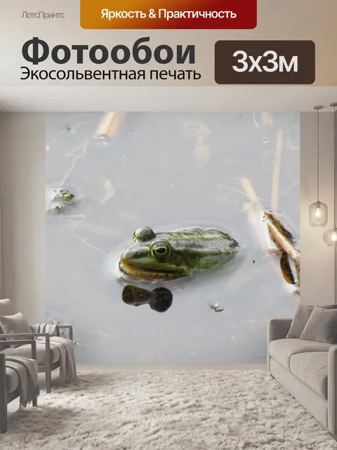 Фотообои Зеленая лягушка