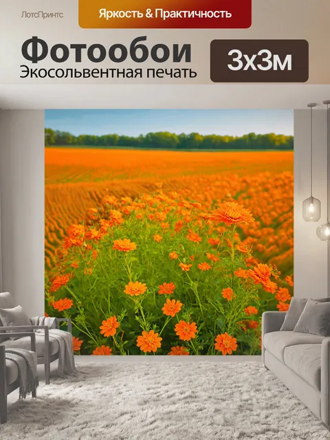 Фотообои оранжевый цвет, с оранжевыми цветами, растущими на фоне окруженной поля