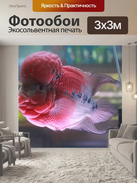 Фотообои Рыбы