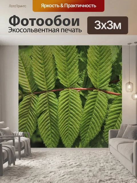 Фотообои Зеленый