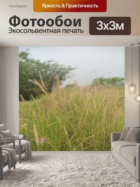 Фотообои Джунгли