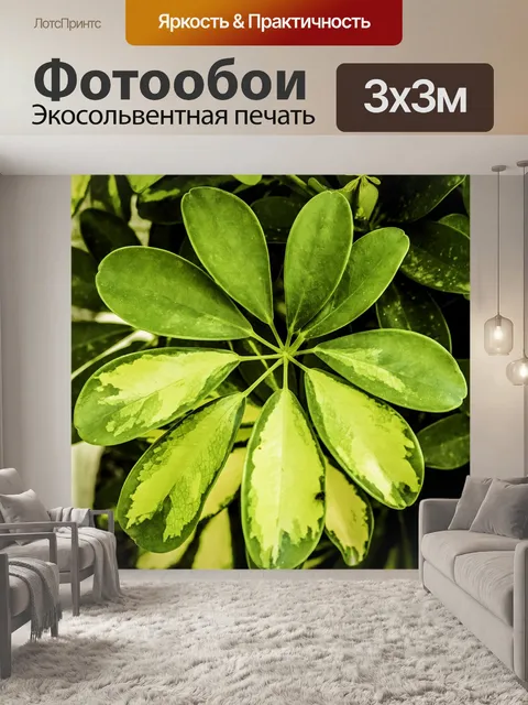 Фотообои Флора