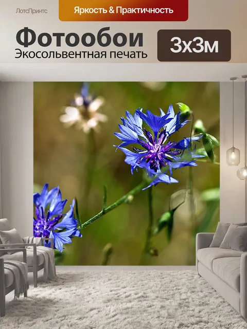 Фотообои Васильковый