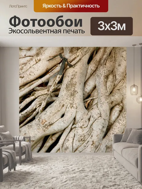 Фотообои Корень