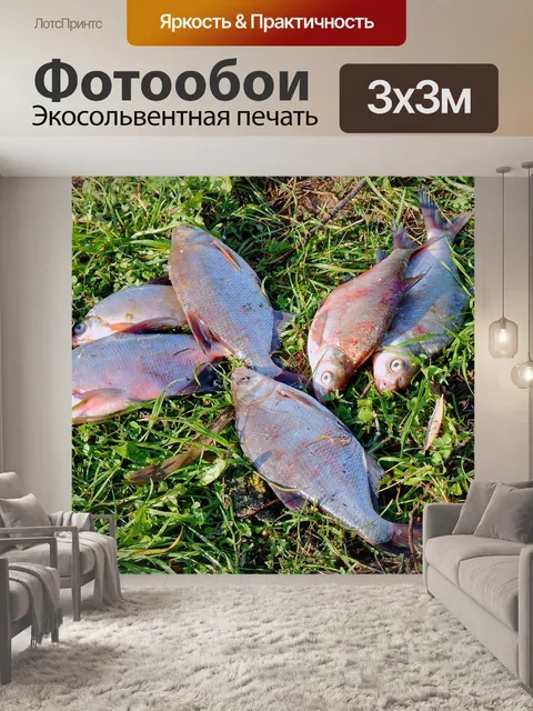 Фотообои Рыба