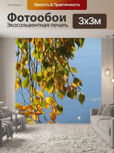 Фотообои Береза