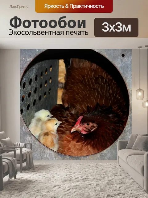 Фотообои Курица и цыплята в гнезде