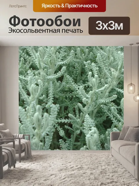 Фотообои Флора Фон