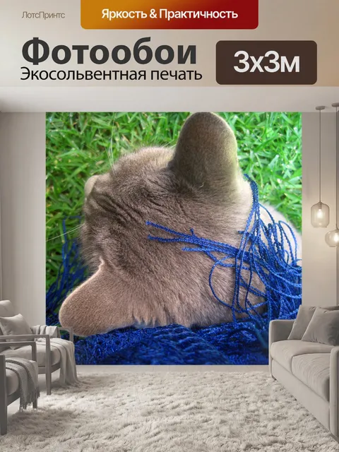 Фотообои серый кот и синий шарф