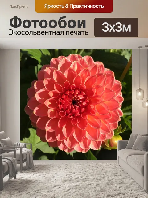 Фотообои Георгин