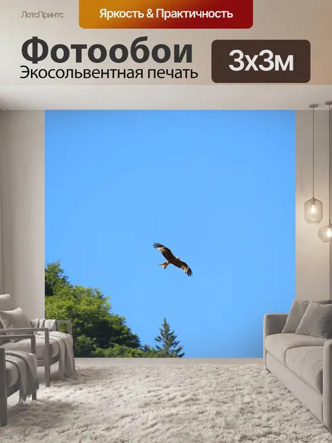 Фотообои Животные