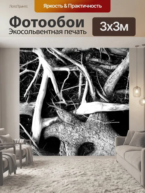 Фотообои Корень