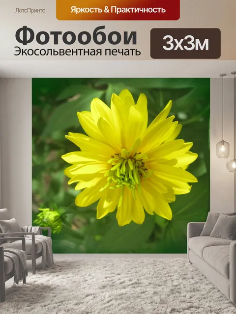 Фотообои Рудбекия Цветок Золотой мяч