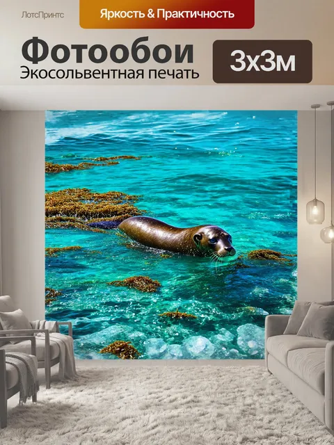 Фотообои тюлень, играющий в воде с плавающими морскими водорослями, окружен прозрачной бирюзовой водой