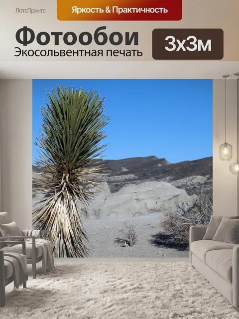Фотообои Пустыня Пейзаж