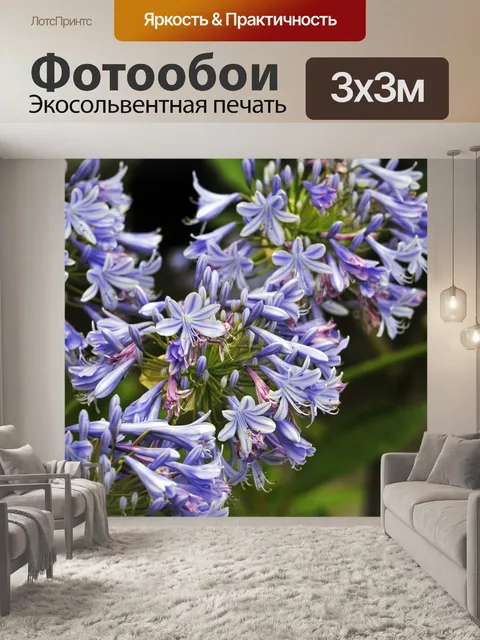 Фотообои Фиолетовые цветы