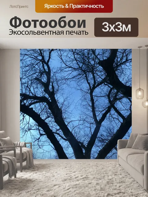 Фотообои Ветви