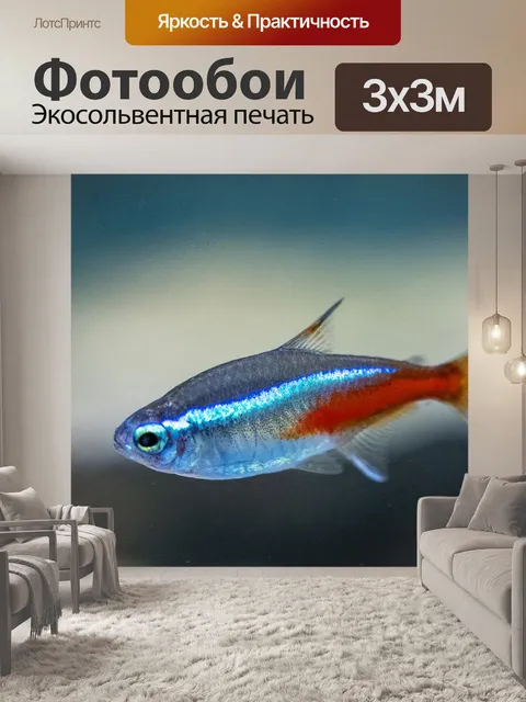 Фотообои Неоновая тетра