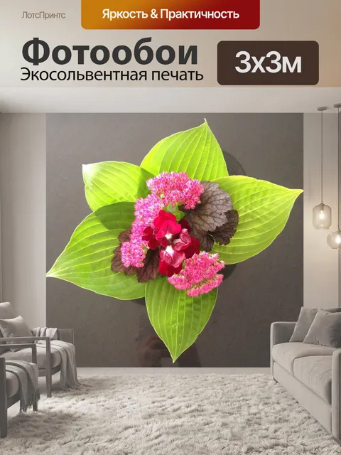 Фотообои Цветы