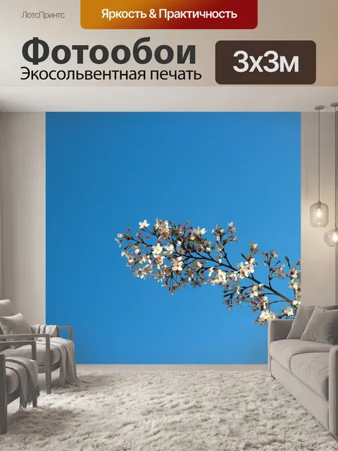 Фотообои Голубое небо