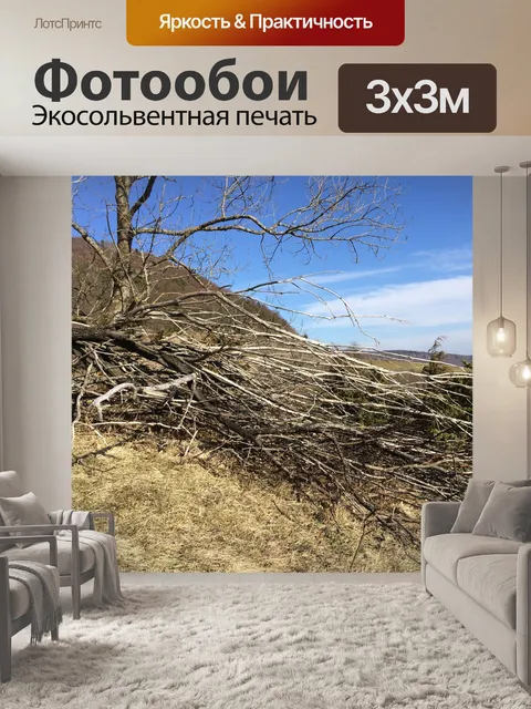 Фотообои Мертвое дерево