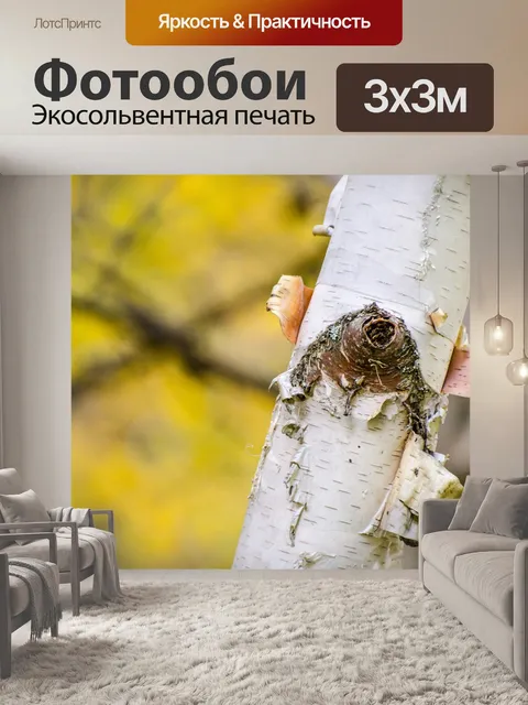 Фотообои Дерево березы