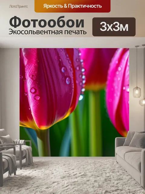 Фотообои розовый тюльпан с каплями росы