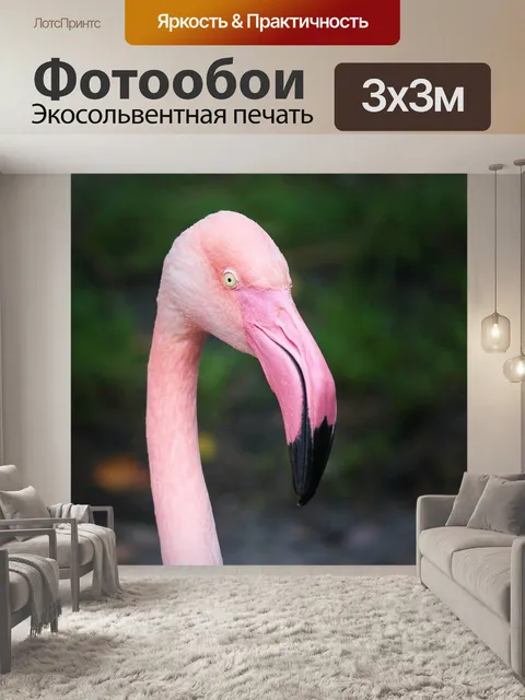 Фотообои Фламинго