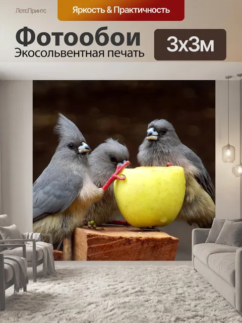 Фотообои Птицы