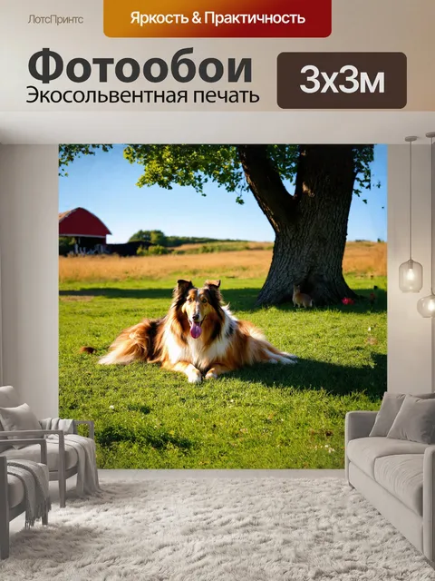 Фотообои на пасторальном сельском пейзаже грубая колли отдыхает под старым дубом