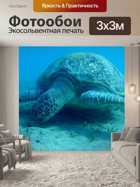 Фотообои Черепаха